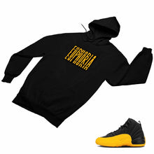 Load image into Gallery viewer, Jordan 12 University Gold Matching Custom Designed Hoodies JD 12-17-13 - JD12-17-H-13b